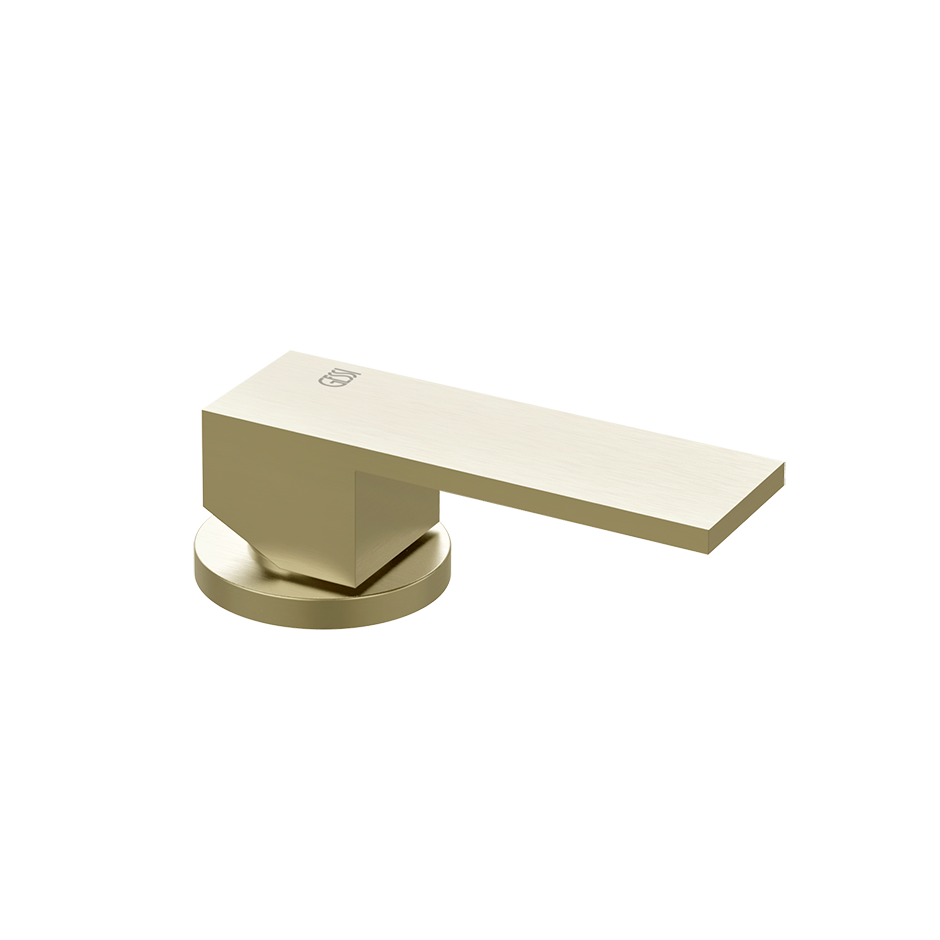 20005 - Brass Brushed Pvd