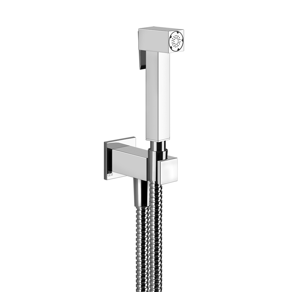 20021 - Chrome