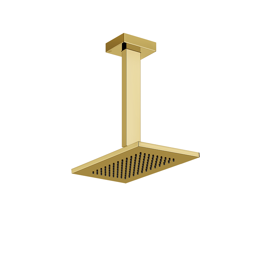20151 - Gold Pvd