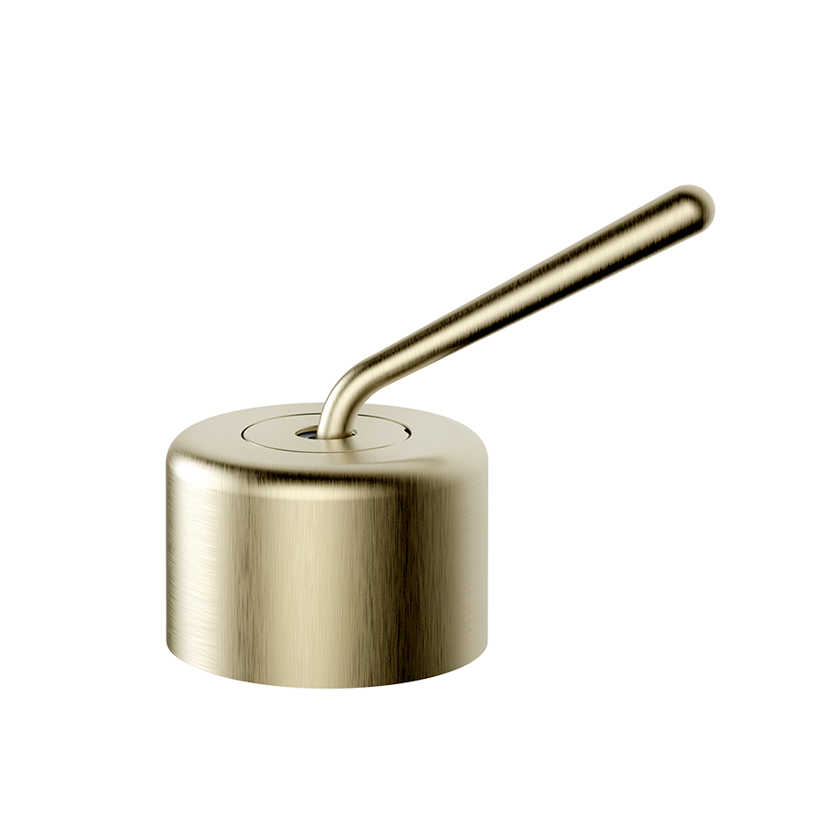 33700 - Brass Brushed Pvd
