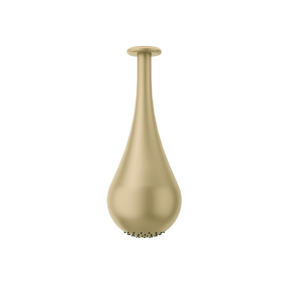 33751 - Brass Brushed Pvd