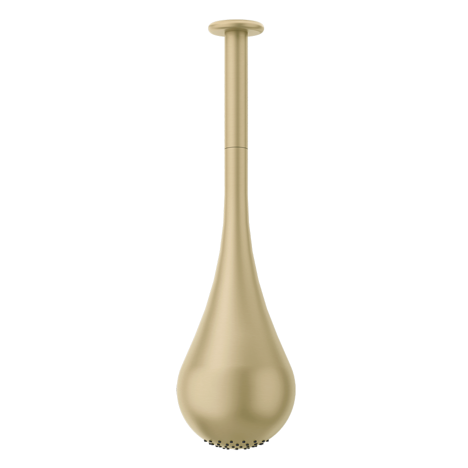 33753 - Brass Brushed Pvd