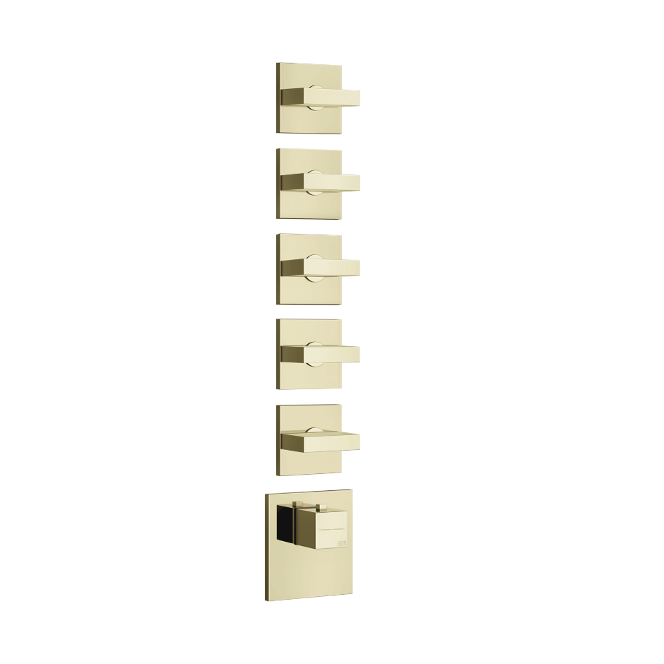 43220 - Brass Pvd