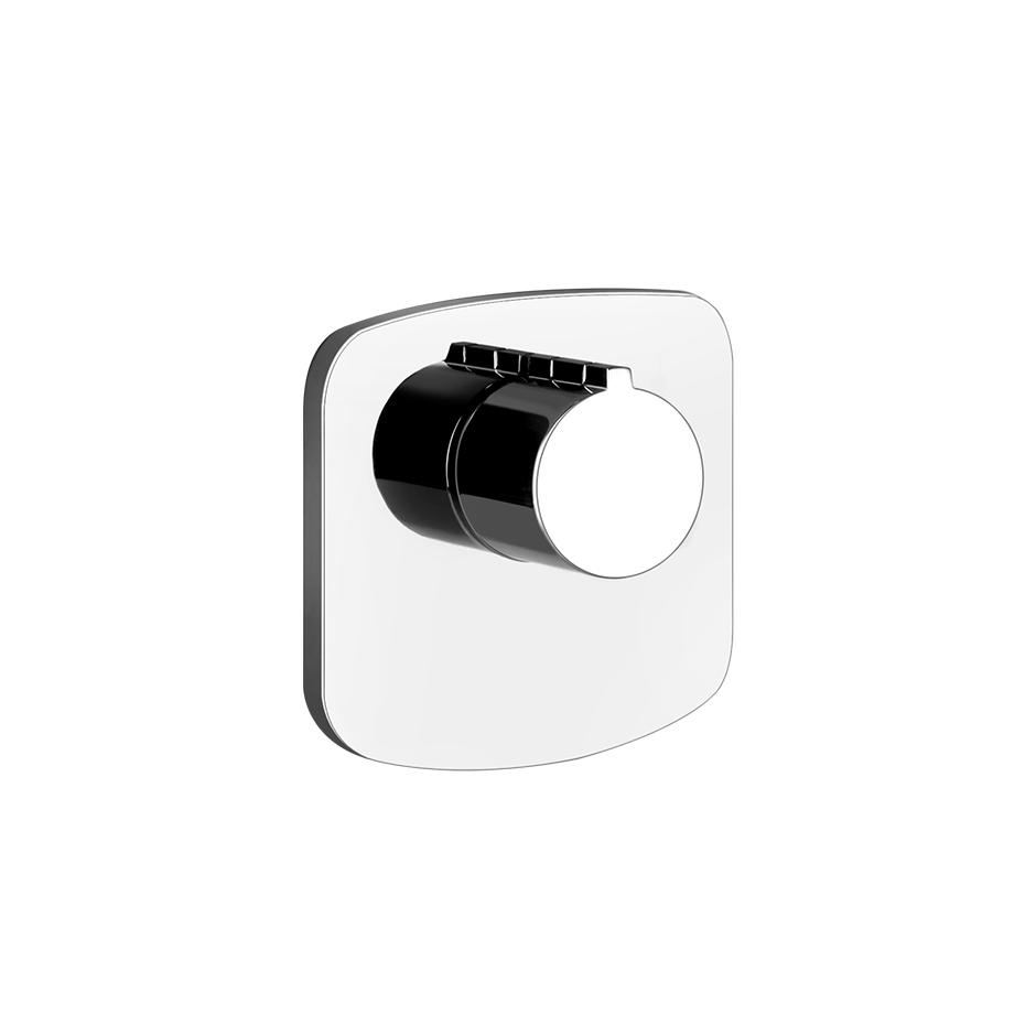 43256 - Chrome
