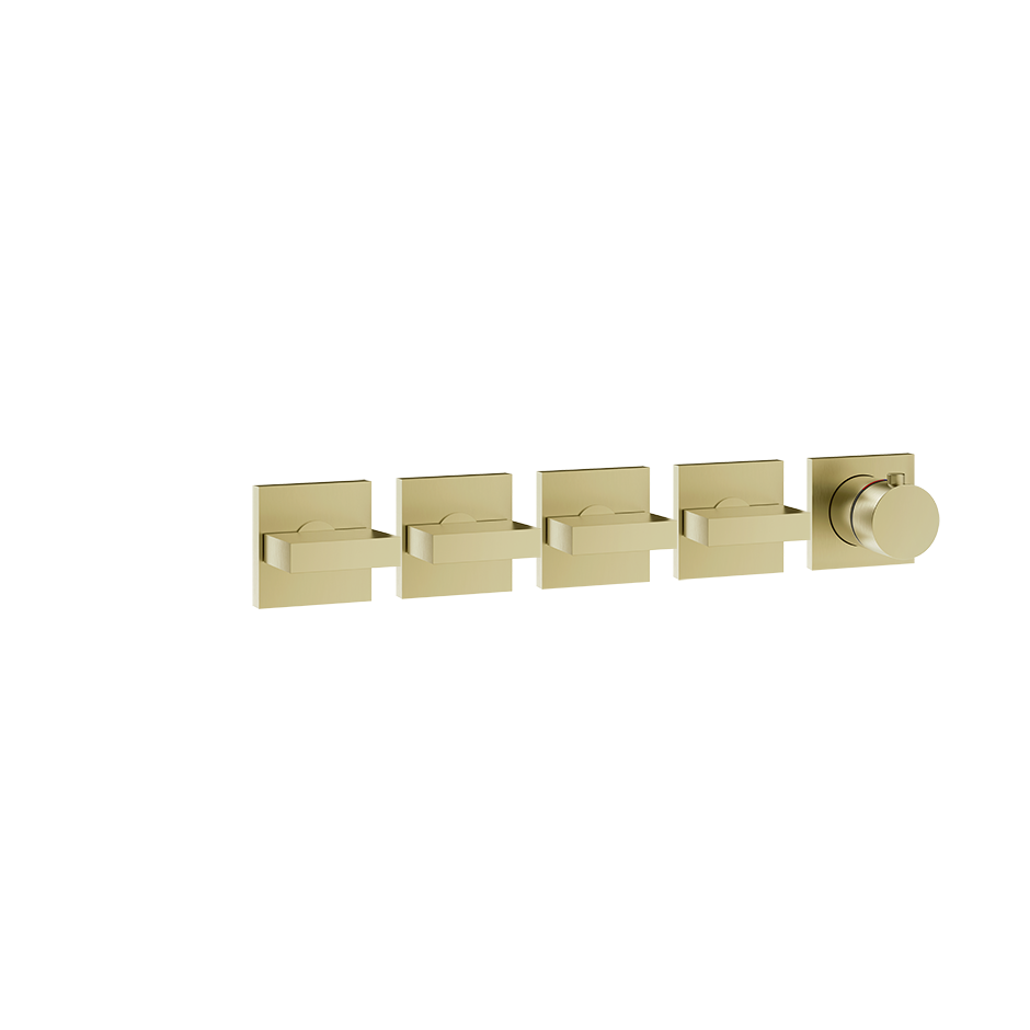 44338 - Brass Brushed Pvd