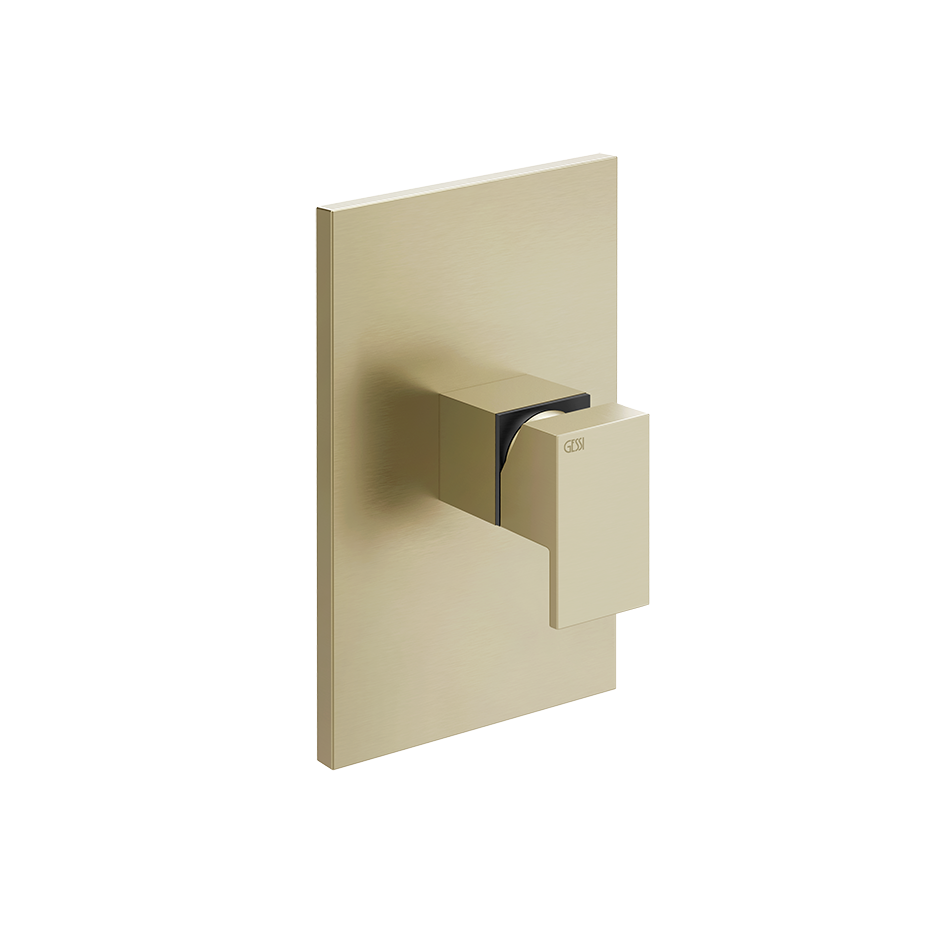 44602 - Brass Brushed Pvd