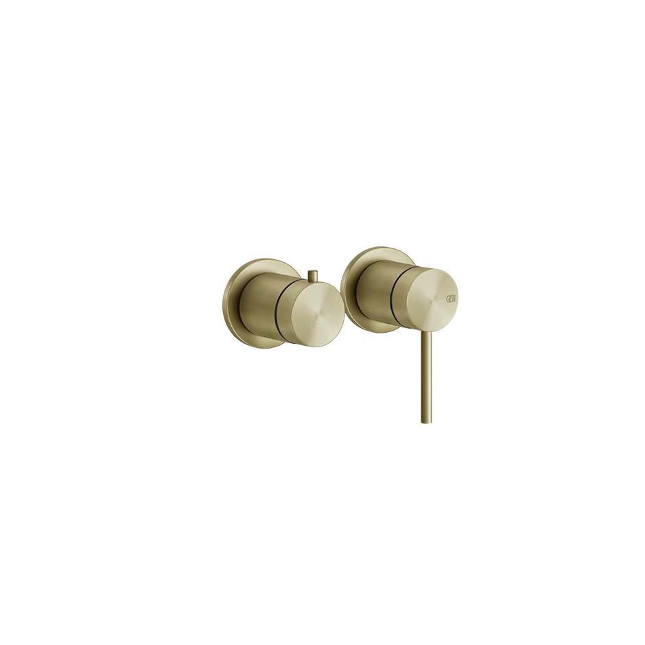54077 - Brass Brushed Pvd