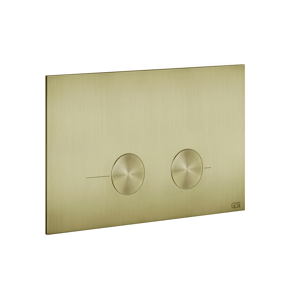 54619 - Brass Brushed Pvd