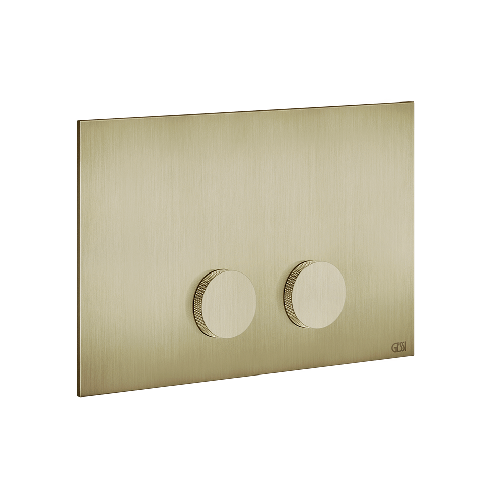 54623 - Brass Brushed Pvd