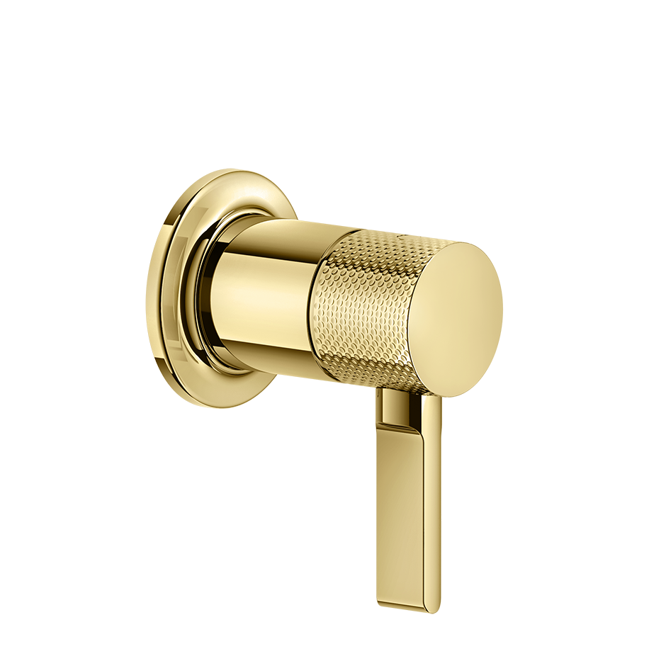 58109 - Gold Pvd