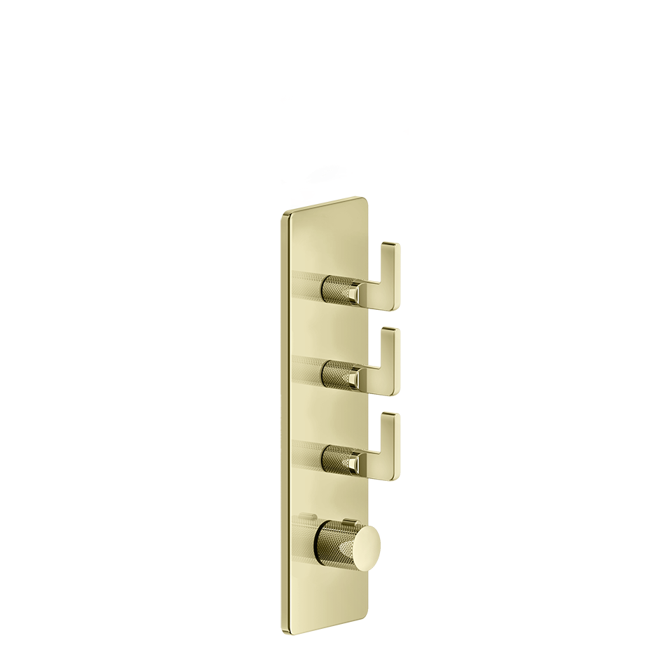 58206 - Brass Pvd