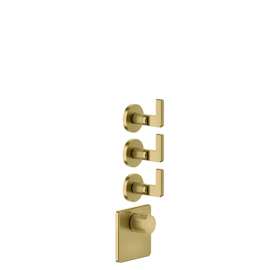 58216 - Gold Brushed Pvd