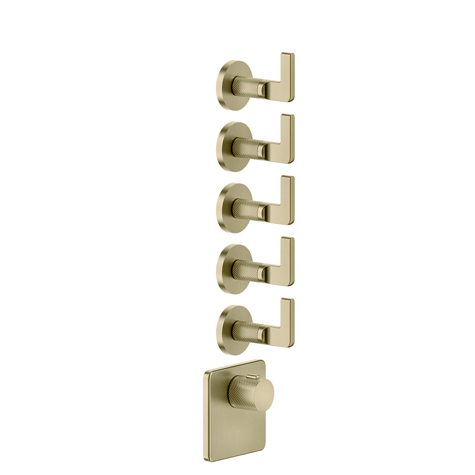 58220 - Brass Brushed Pvd