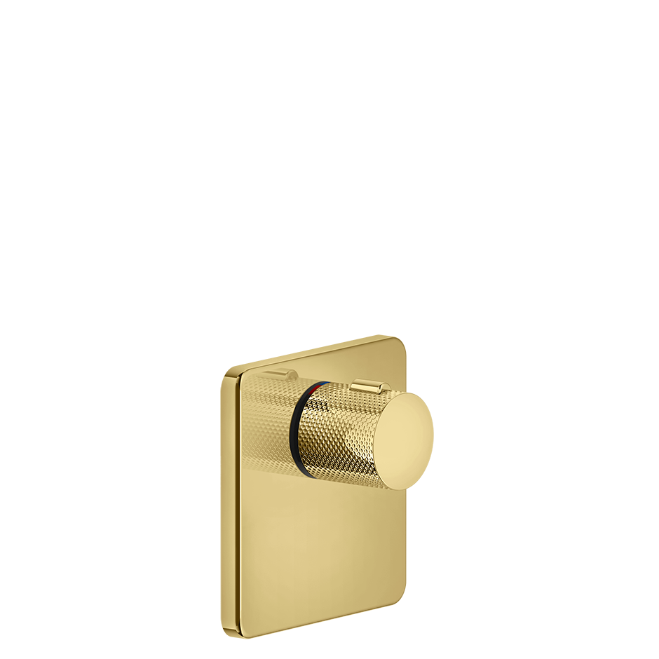 58254 - Gold Pvd