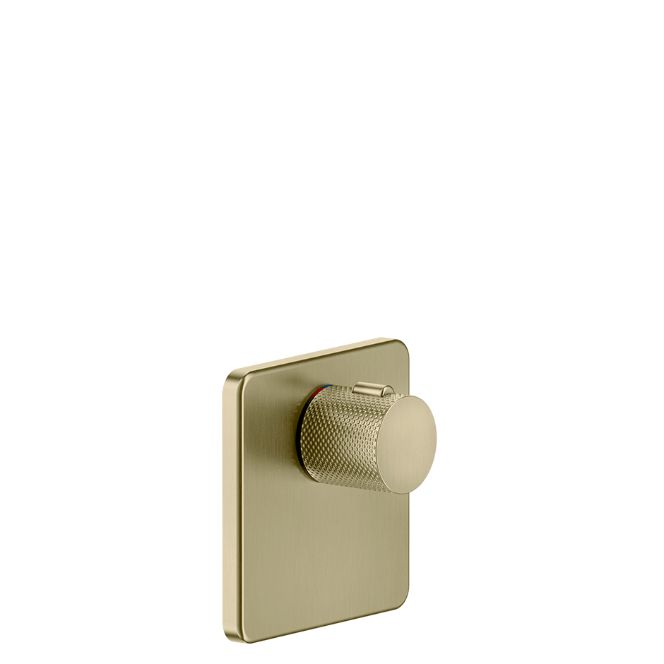 58254 - Brass Brushed Pvd