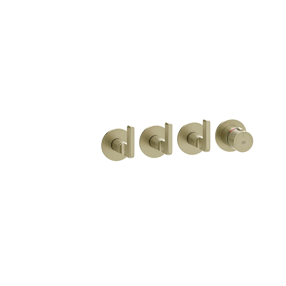 58336 - Brass Brushed Pvd