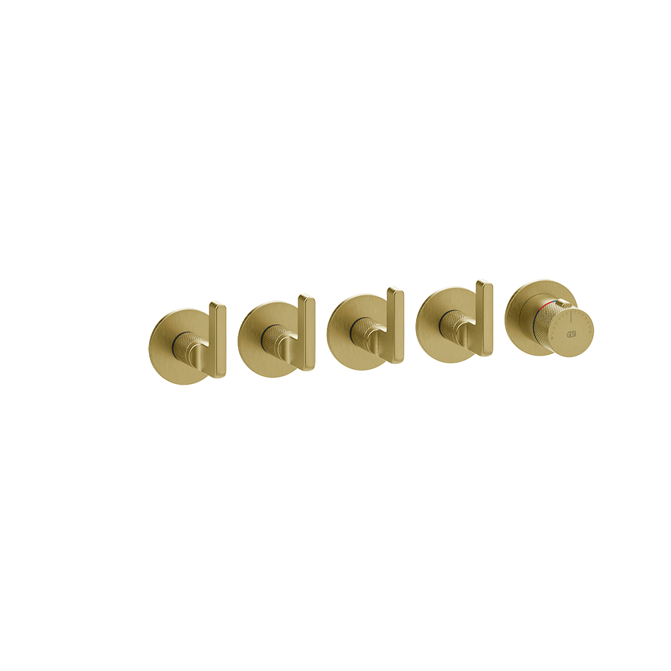 58338 - Gold Brushed Pvd