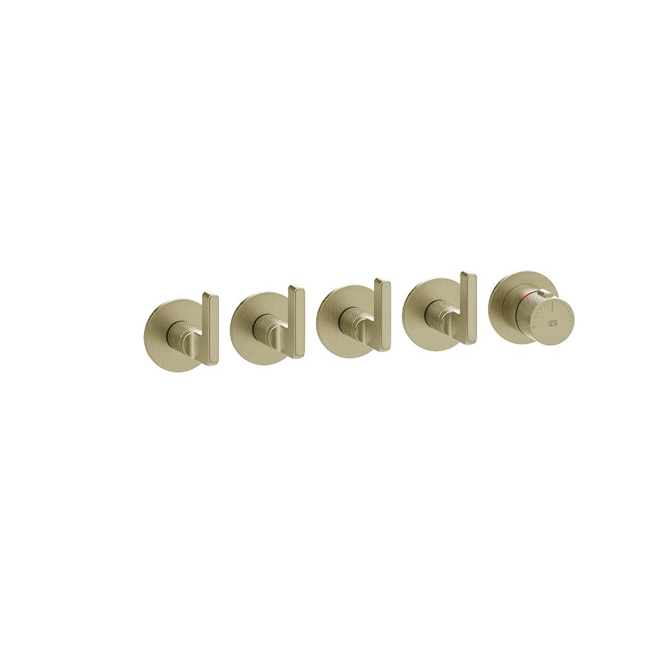 58338 - Brass Brushed Pvd