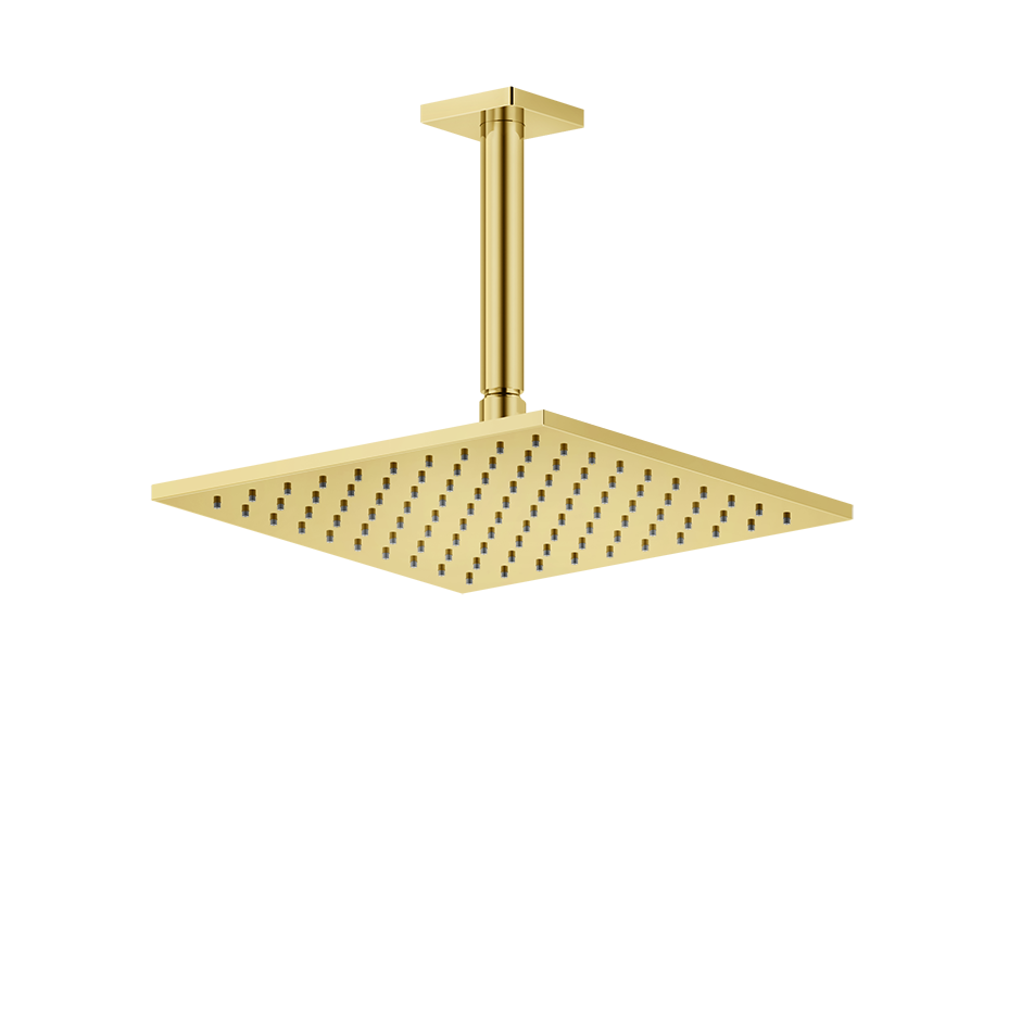 59155 - Gold Pvd