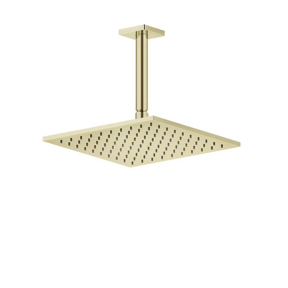 59155 - Brass Pvd