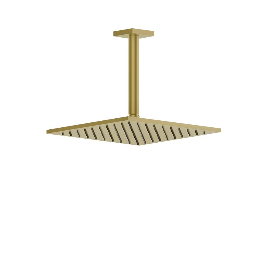 59159 - Gold Brushed Pvd