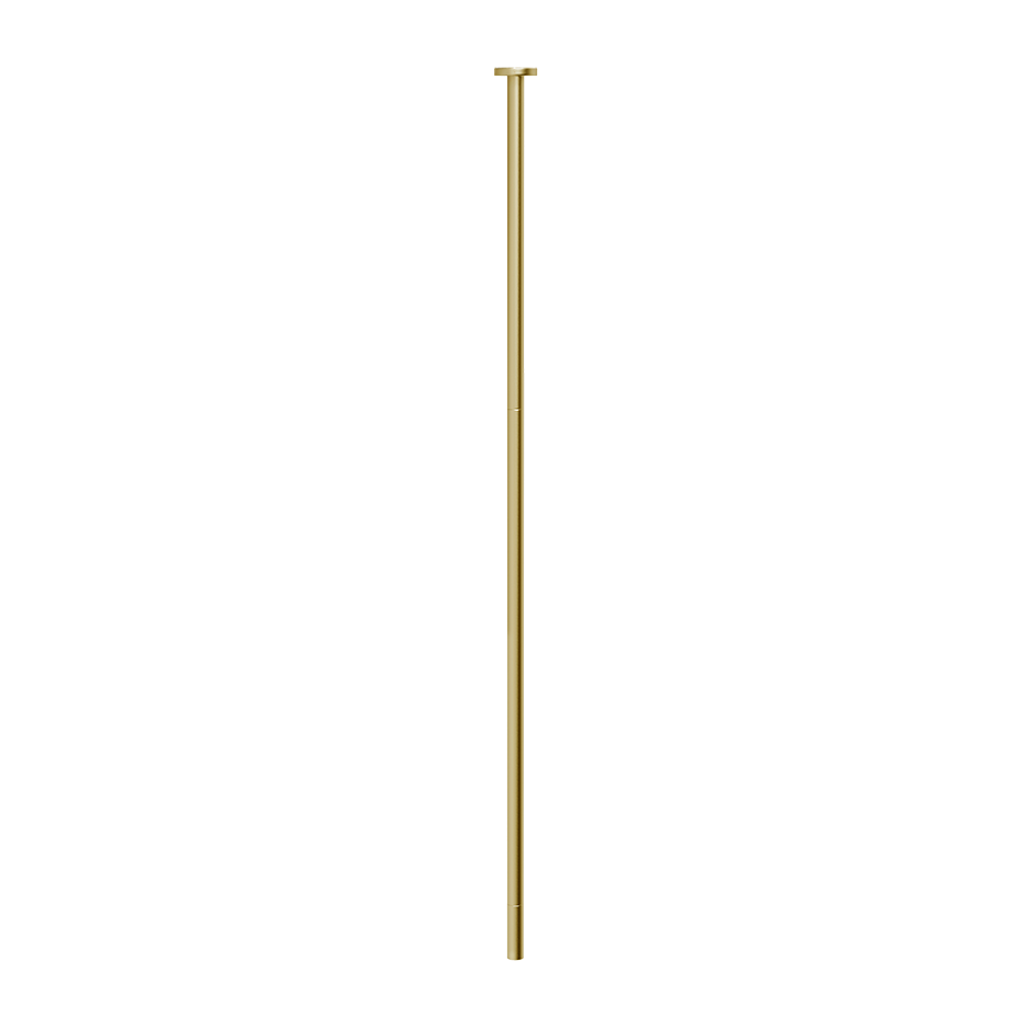 63499 - Gold Brushed Pvd