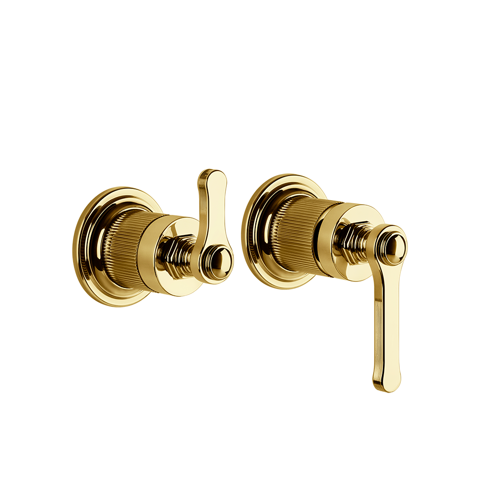 65038 - Gold Pvd