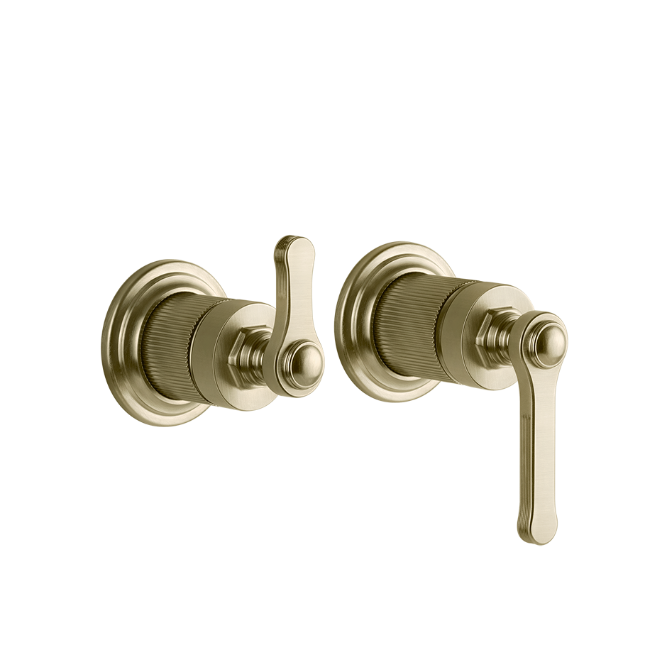 65038 - Brass Brushed Pvd