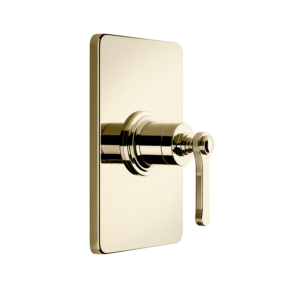 65061 - Brass Pvd