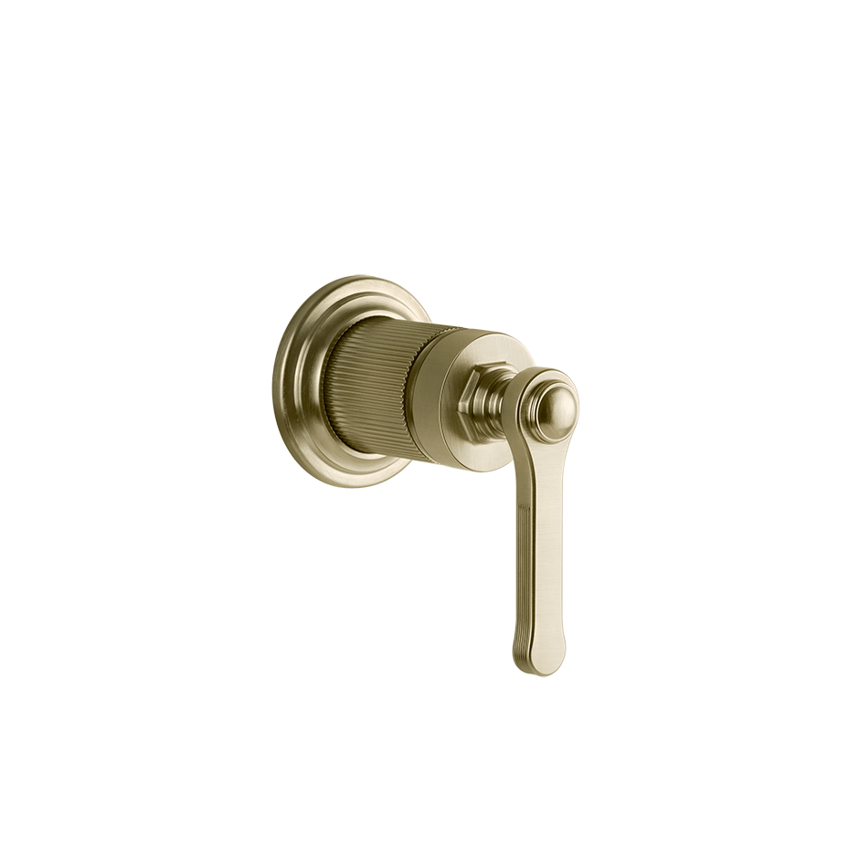 65131 - Brass Brushed Pvd
