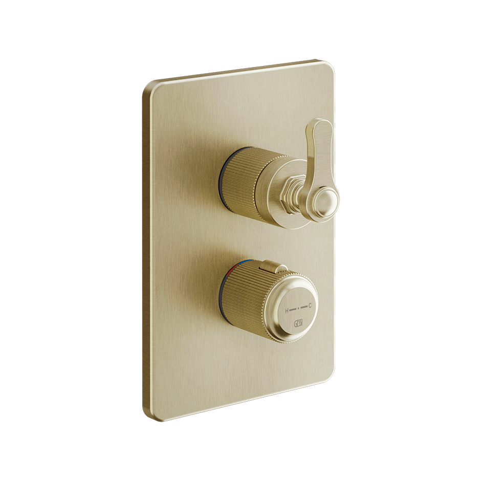65137 - Brass Brushed Pvd