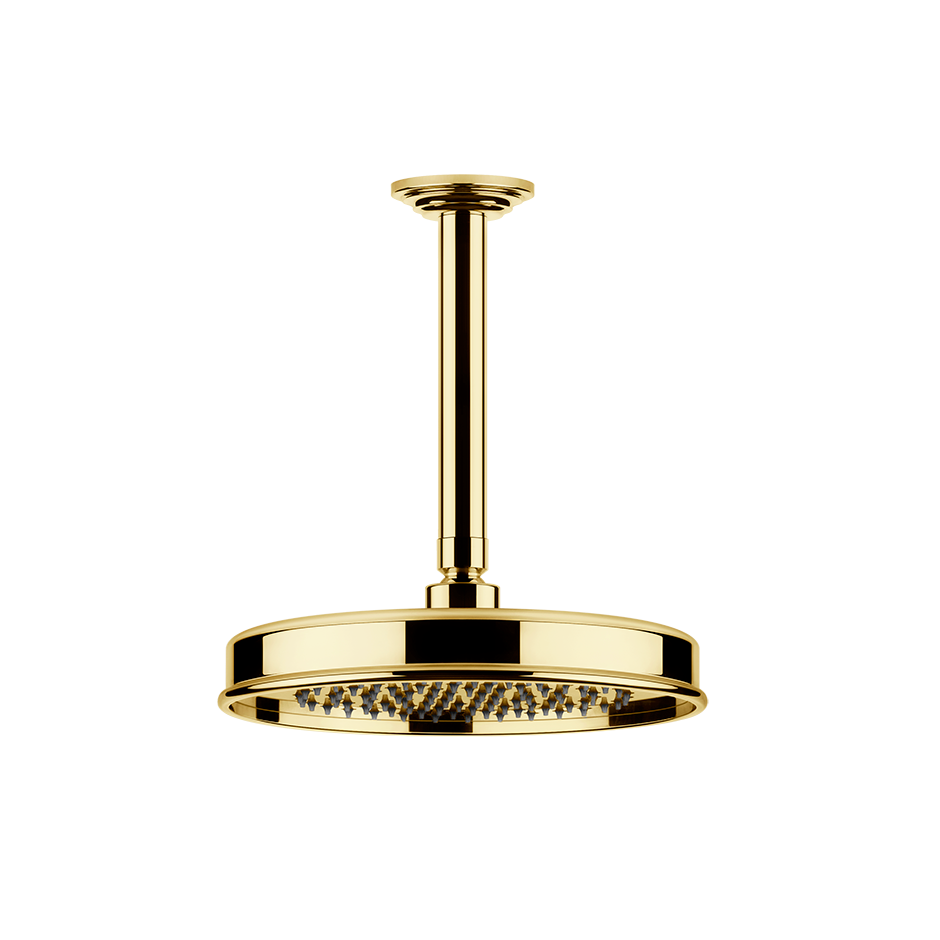 65150 - Gold Pvd