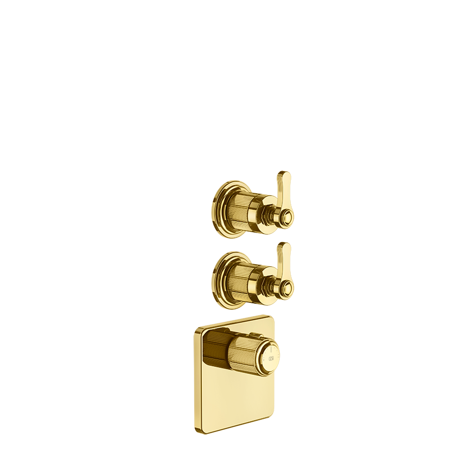 65202 - Gold Pvd