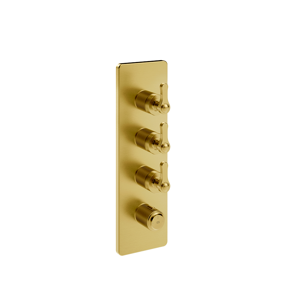 65204 - Gold Brushed Pvd