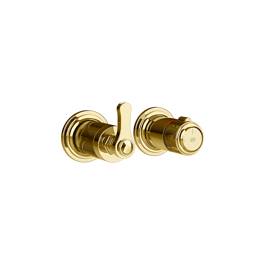 65237 - Gold Pvd