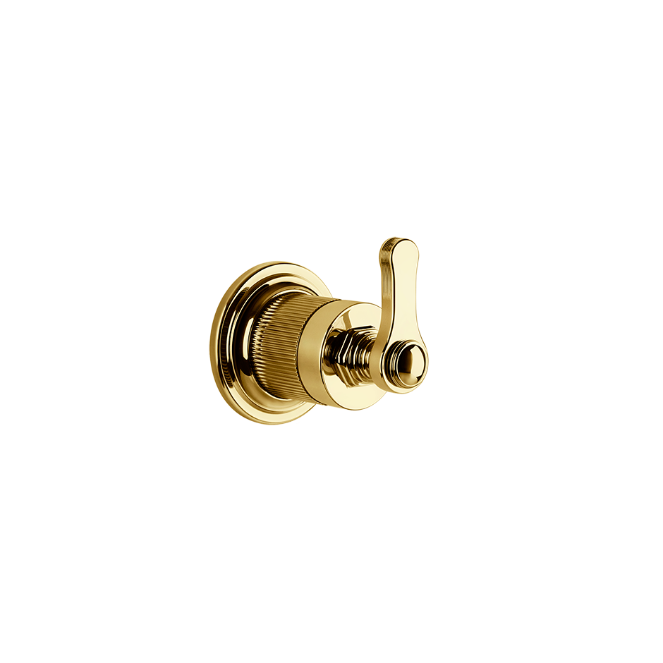 65247 - Gold Pvd