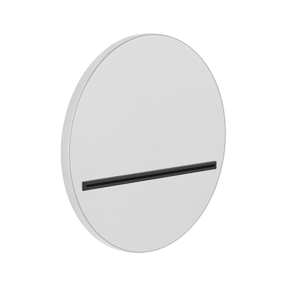 65295 - Matte White