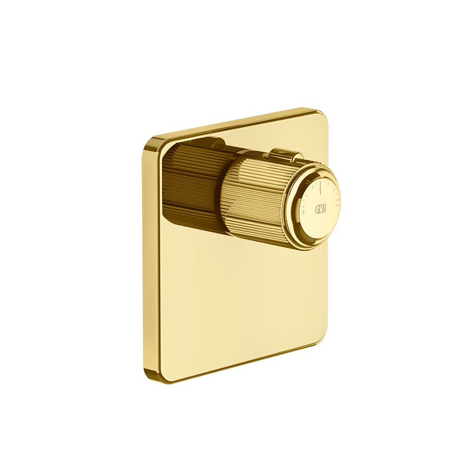 65316 - Gold Pvd