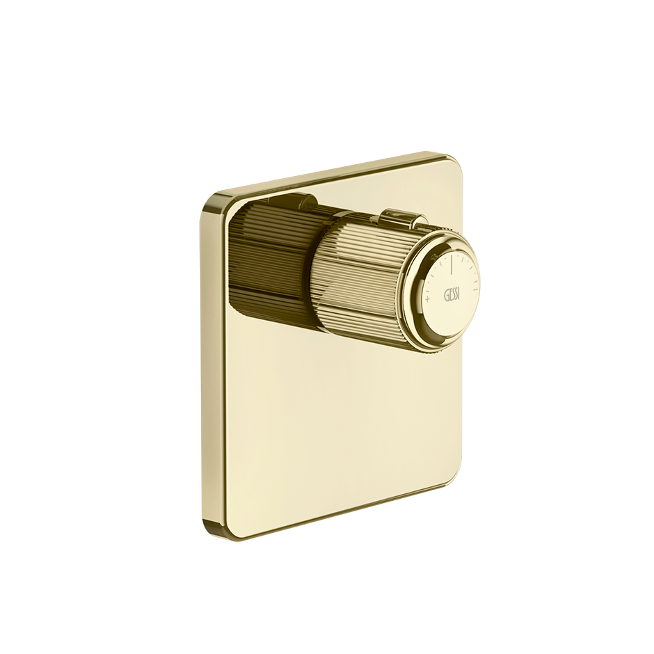 65316 - Brass Pvd