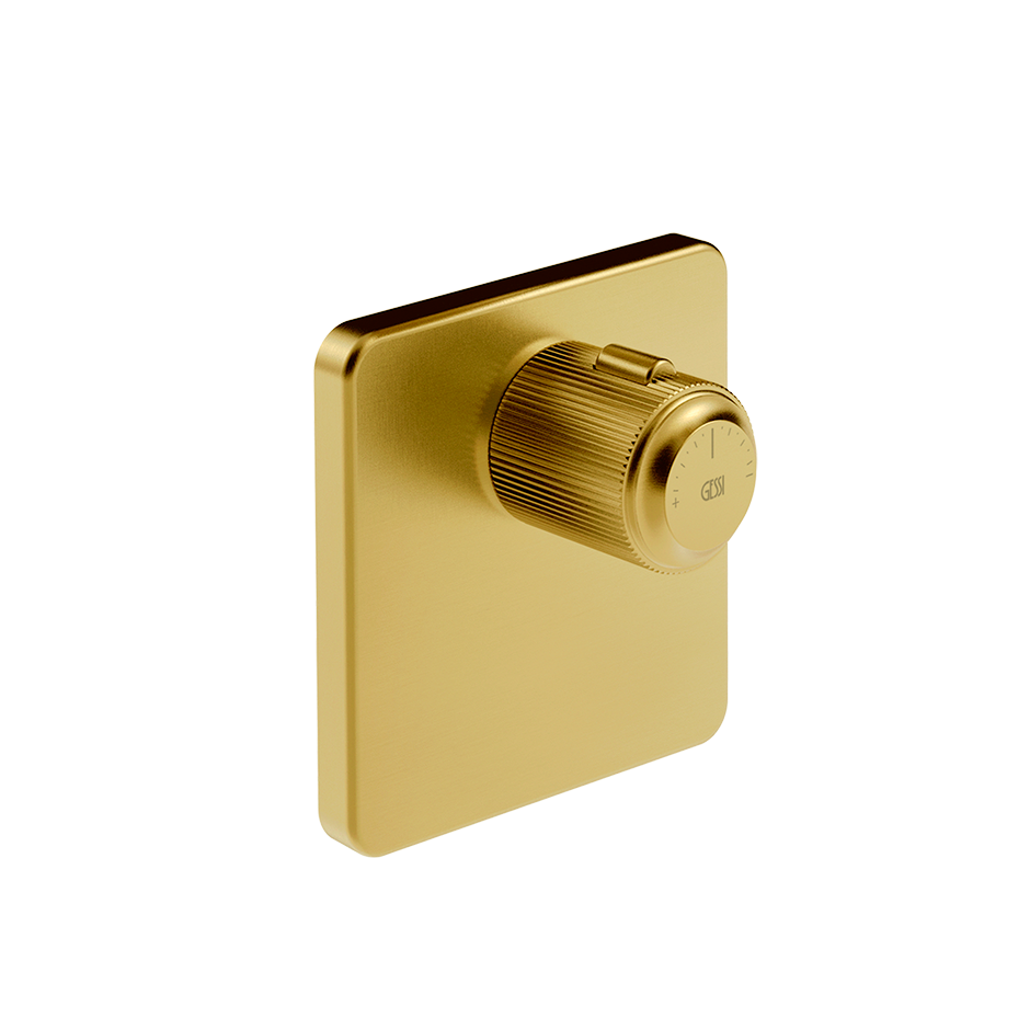 65316 - Gold Brushed Pvd
