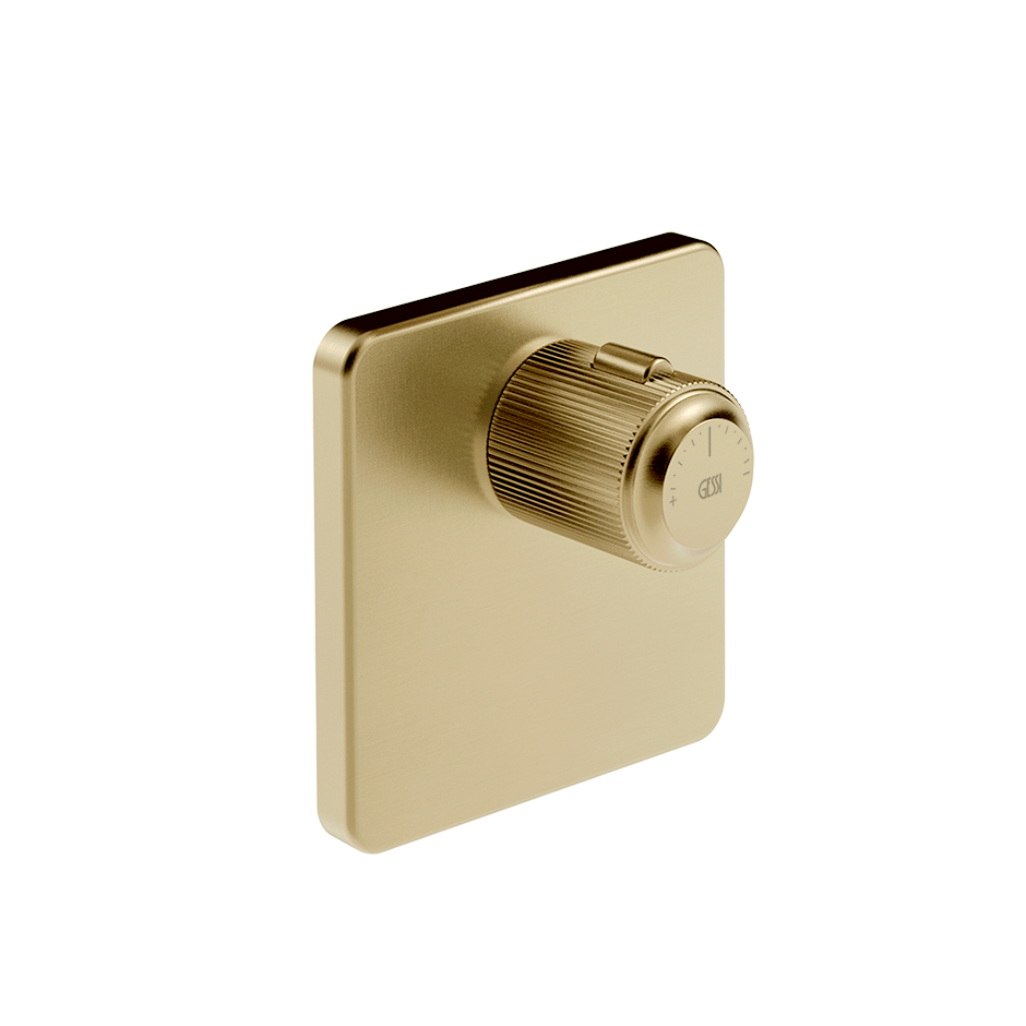 65316 - Brass Brushed Pvd