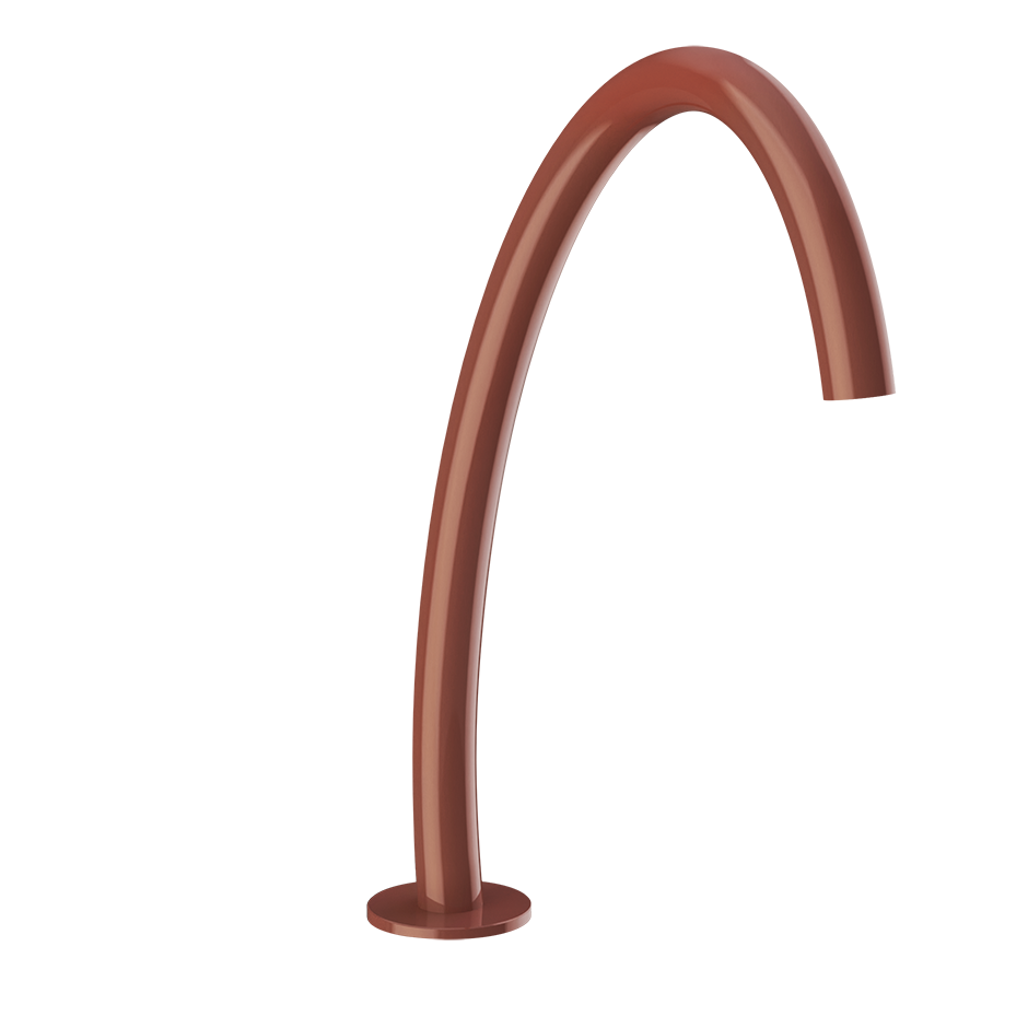 66025 - Glossy Coral