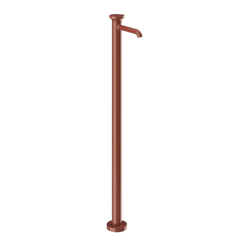 66095 - Glossy Coral