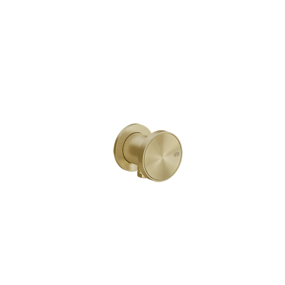 66169 - Brass Brushed Pvd