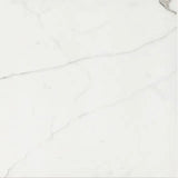 Timeless Calacatta