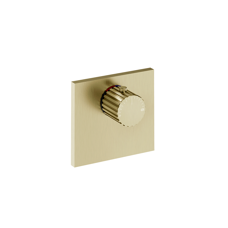 75354 - Brass Brushed Pvd