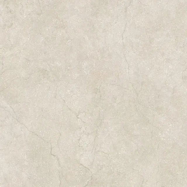 Stone Life Shell Casa Serano