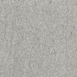 Biotech Serizzo Stone