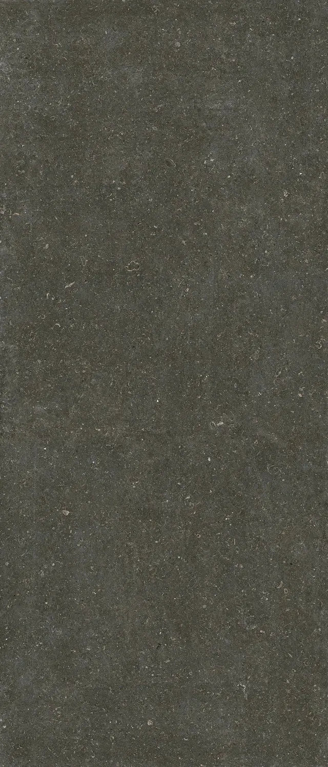 Rinascenza Arena Platino Casa Serano