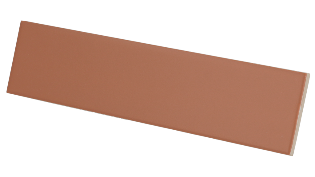 Costa Nova terra